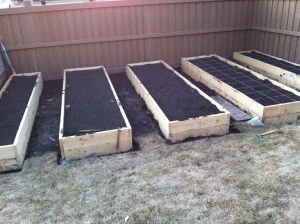 Five raised garden beds completed and filled with dirt.  Now for planting...